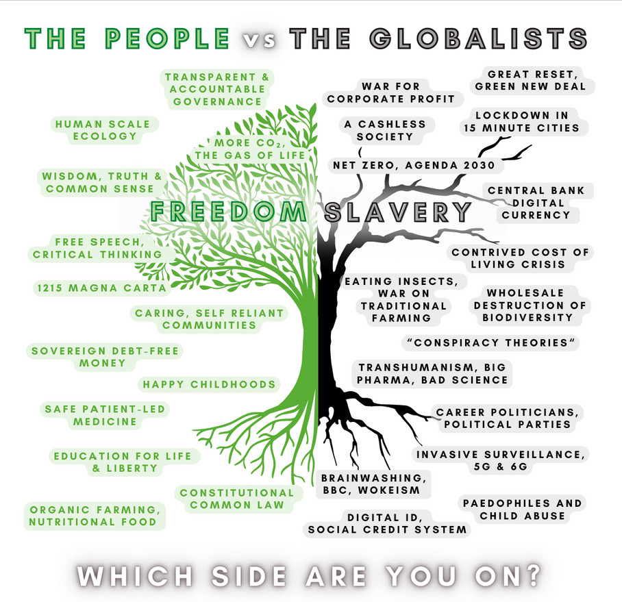 The People vs the Globalists