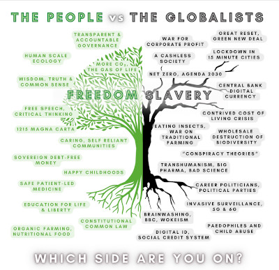 The People vs the Globalists